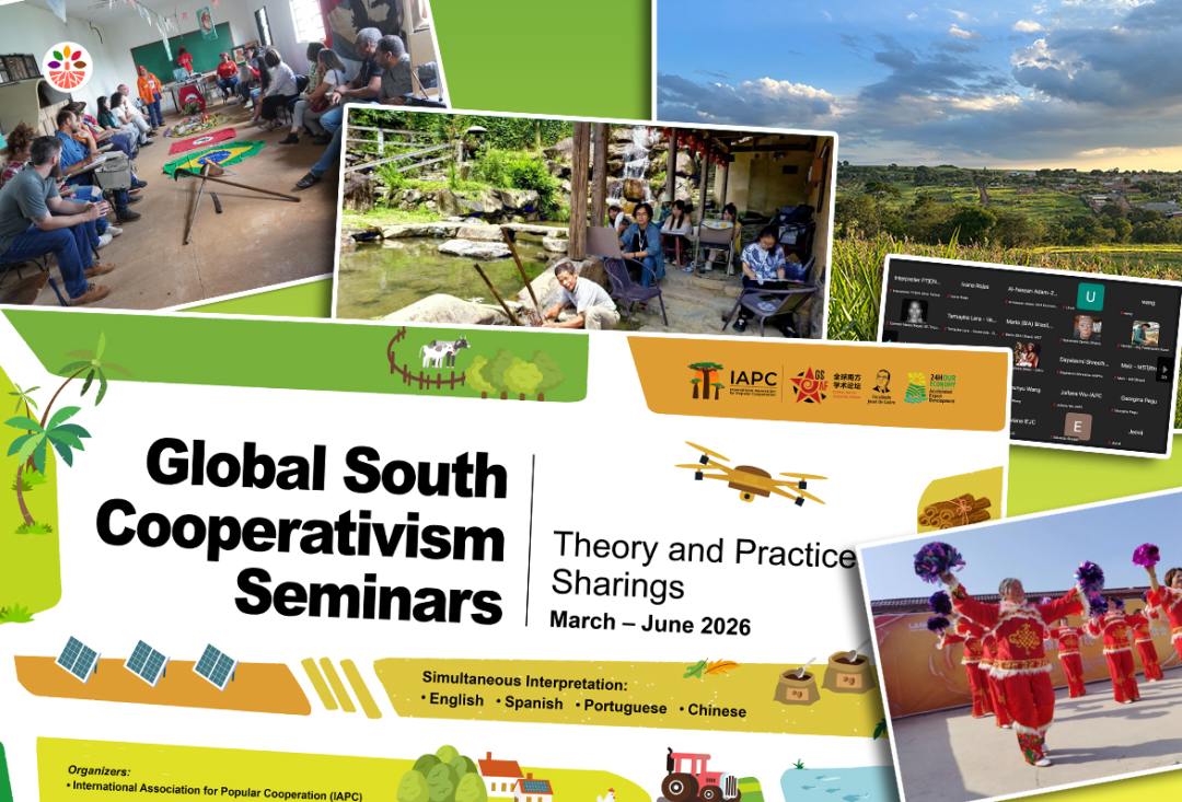 A screenshot of the online seminar
