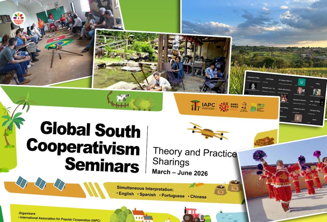 A screenshot of the online seminar